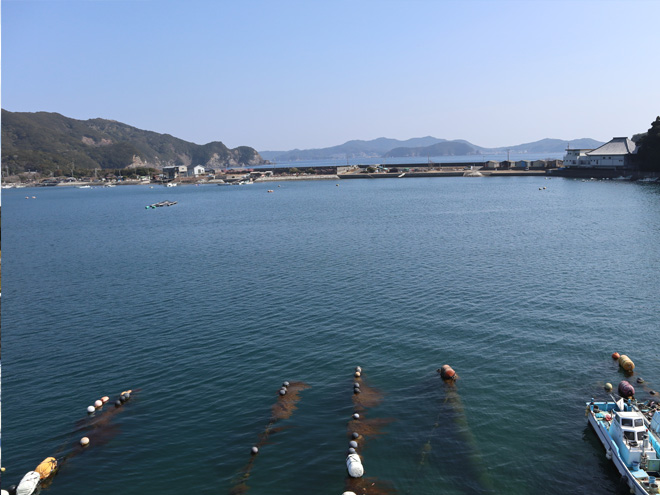 度会郡南伊勢町相賀浦字河内脇 別荘物件