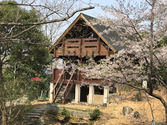 伊勢市上野町字掛橋　一戸建て物件