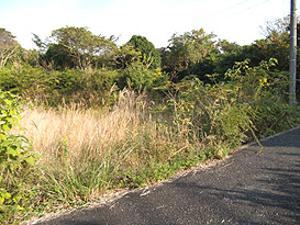 志摩市阿児町国府字夏川原 住宅用地