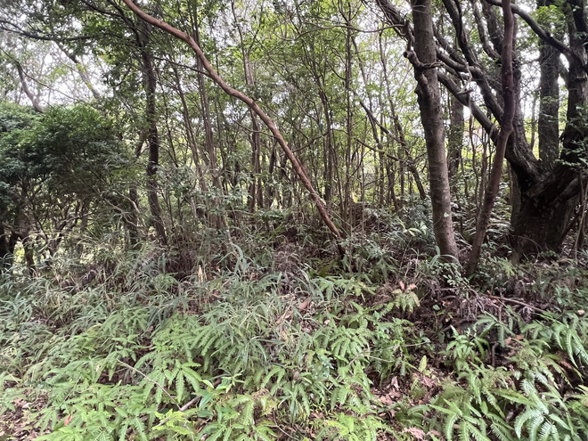 志摩市阿児町鵜方　住宅用地