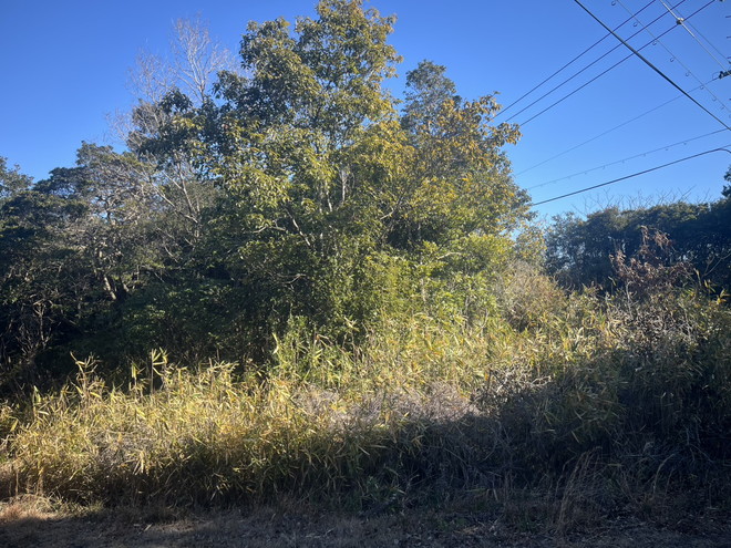 志摩市阿児町国府　住宅用地