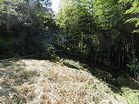 土地 志摩市阿児町国府字平野
