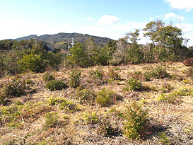 土地　志摩市阿児町鵜方（緑香苑）