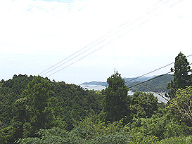 度会郡南伊勢町飯満字オクノタニ　土地物件