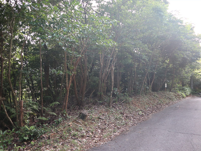 別荘地 伊勢市上野町字小谷