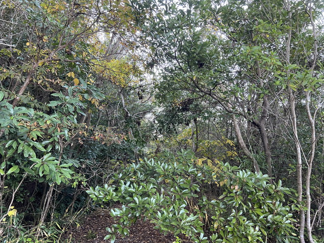 志摩市阿児町国府