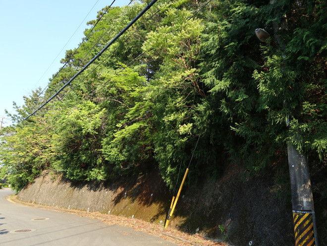 鳥羽市安楽島町