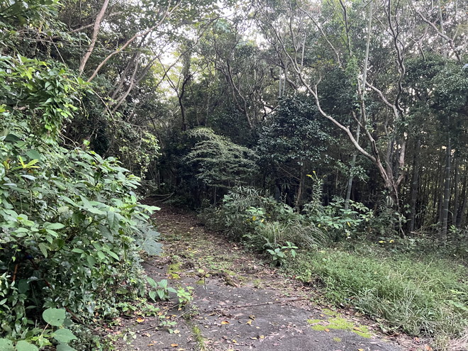 志摩市大王町船越