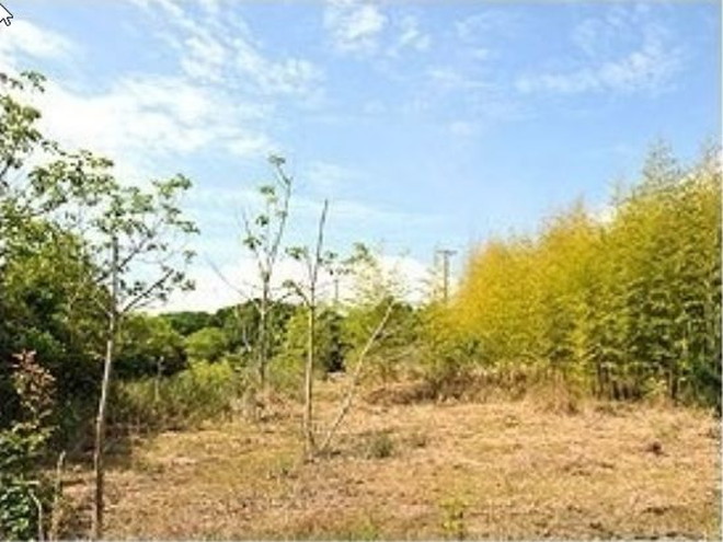 志摩市阿児町国府　土地物件