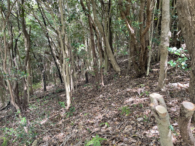 度会郡南伊勢町木谷　土地物件