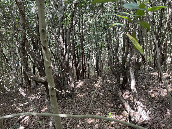 度会郡南伊勢町木谷　土地物件