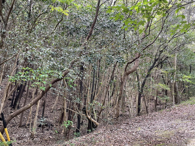 度会郡南伊勢町木谷　土地物件